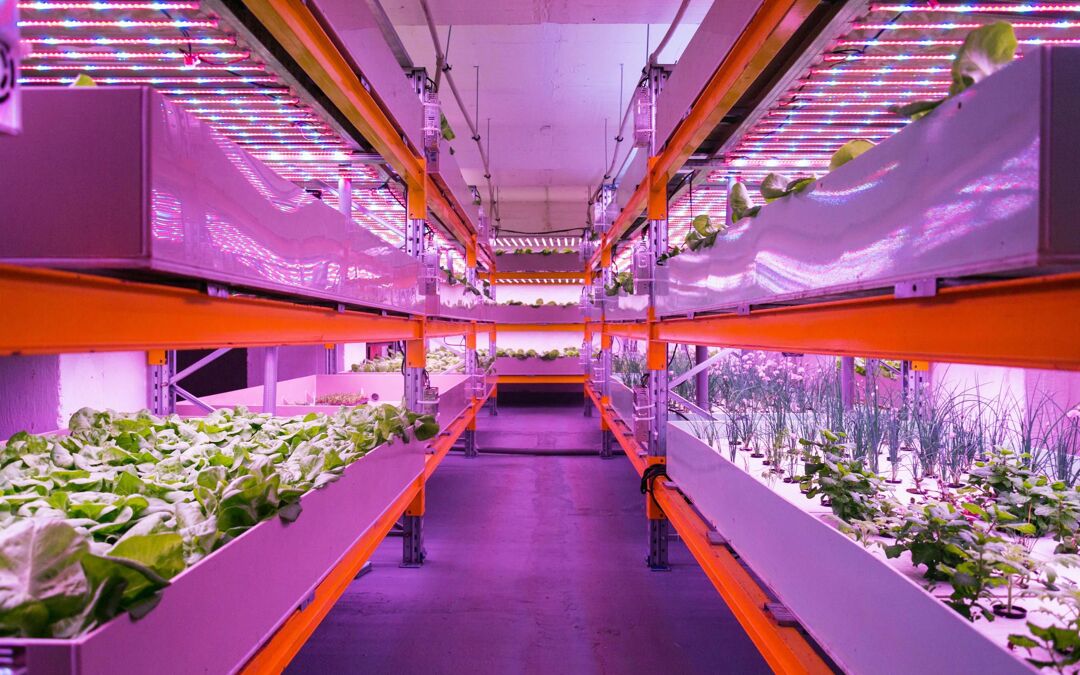 Brent Floating Farms aims to “revolutionize agriculture”